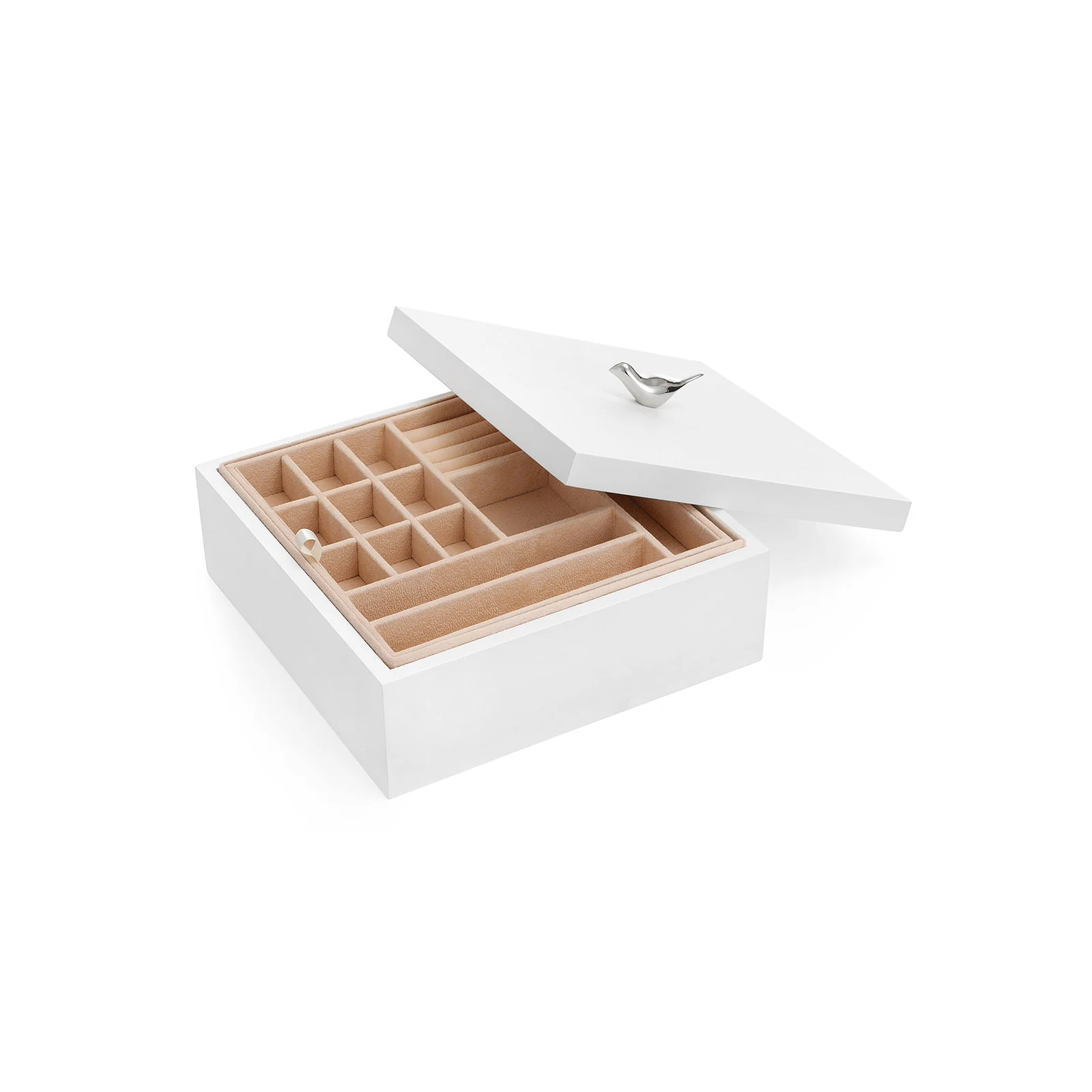 Miniatuur 1